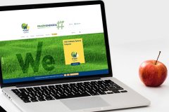 weenergy