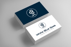 2-wbs
